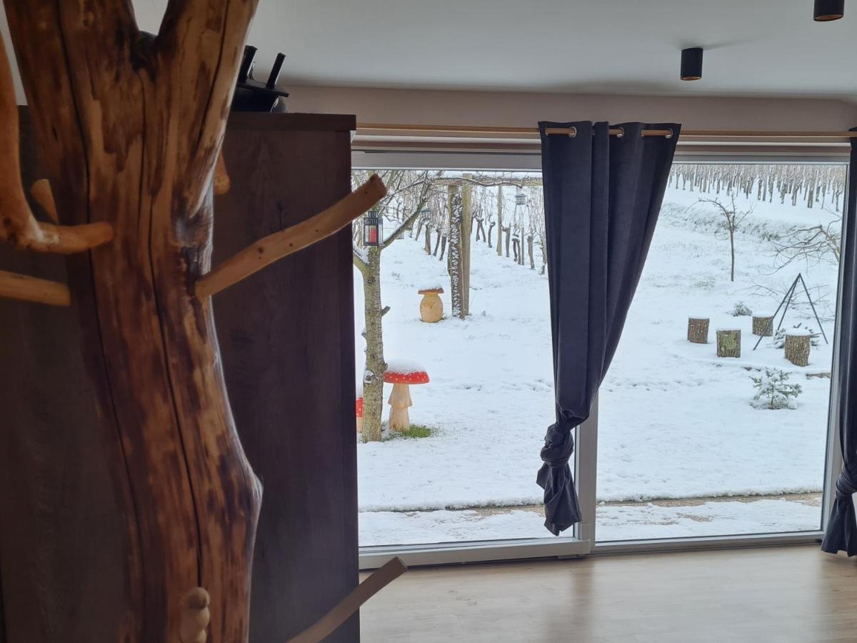 Gozdarjeva Hiska M&K Villa Dobrovnik Luaran gambar