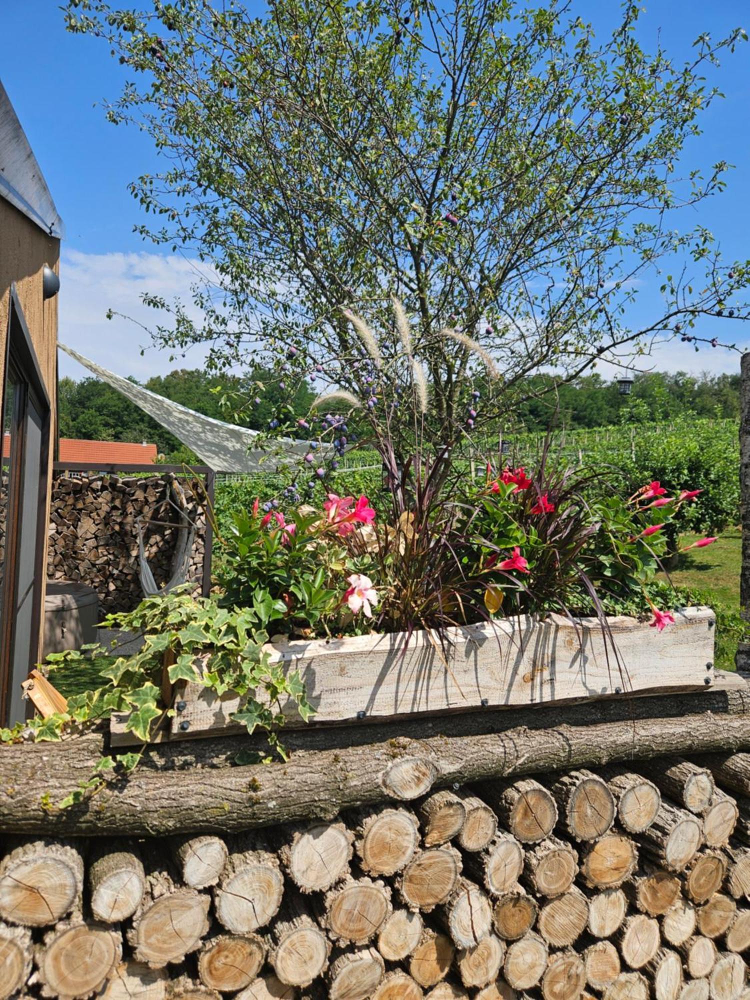 Gozdarjeva Hiska M&K Villa Dobrovnik Luaran gambar