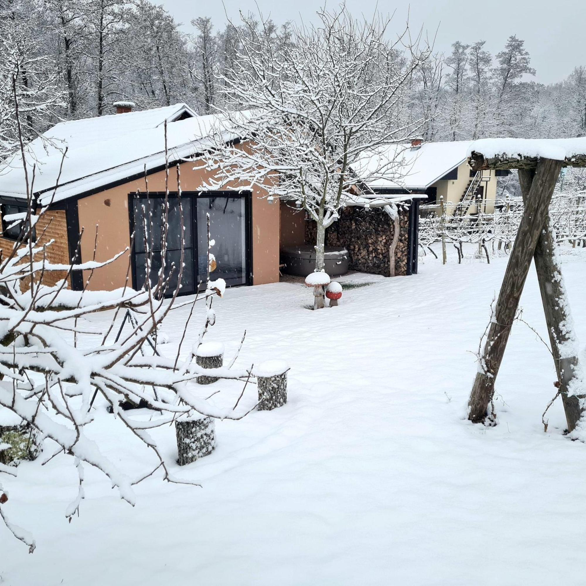 Gozdarjeva Hiska M&K Villa Dobrovnik Luaran gambar